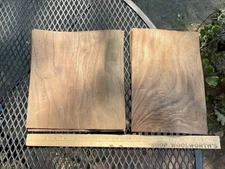 NOS Walnut Veneer 10 1/2" x 7 & 9.5" 11 Sheets Lot E