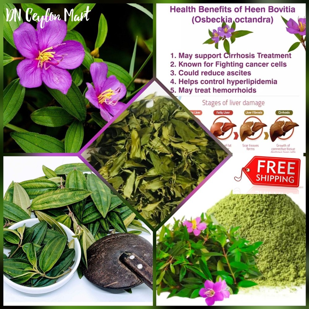 Osbeckia Octandra Dried Leaves Heen Bovitiya Organic Ceylon Natural Herb Tea New