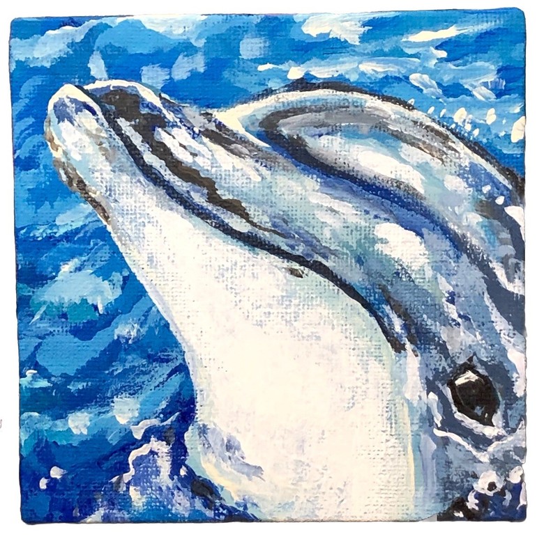 4” x 4” original acrylic painting Dolphin Tropical Ocean Fish Mermaid Sea Animal