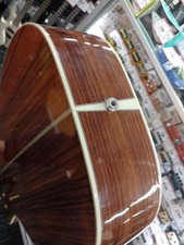 EASTMAN E20/P electric acoustic guitar