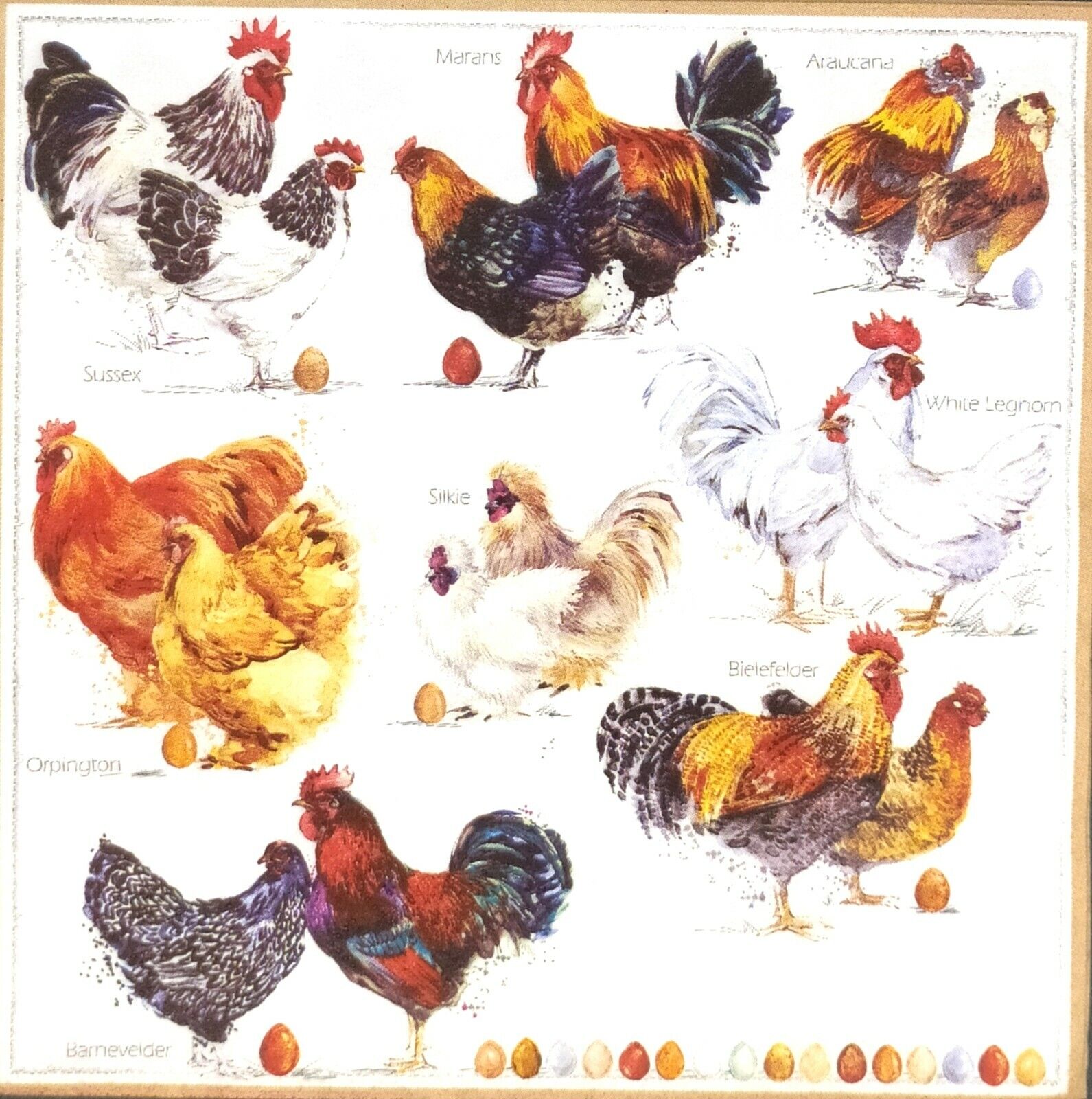 N970# 3 x Single Paper Napkins Decoupage Cock Hen Rooster Family Species Pattern