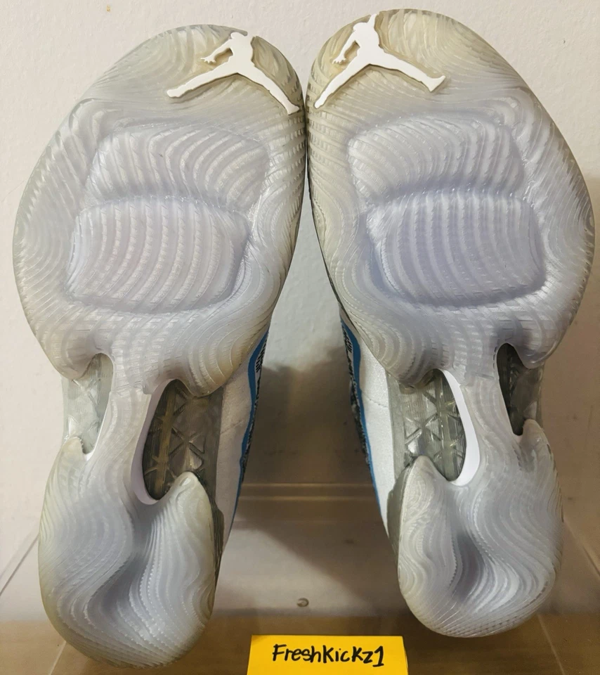 Air Jordan 29 尺码 10.5 男式潘通蓝色白色 717796-18 飞行礼物 UNC — 第 4/4 张图片