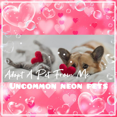   Adopt (A Pet From Me) Today!   Uncommon   Cheap Neons  