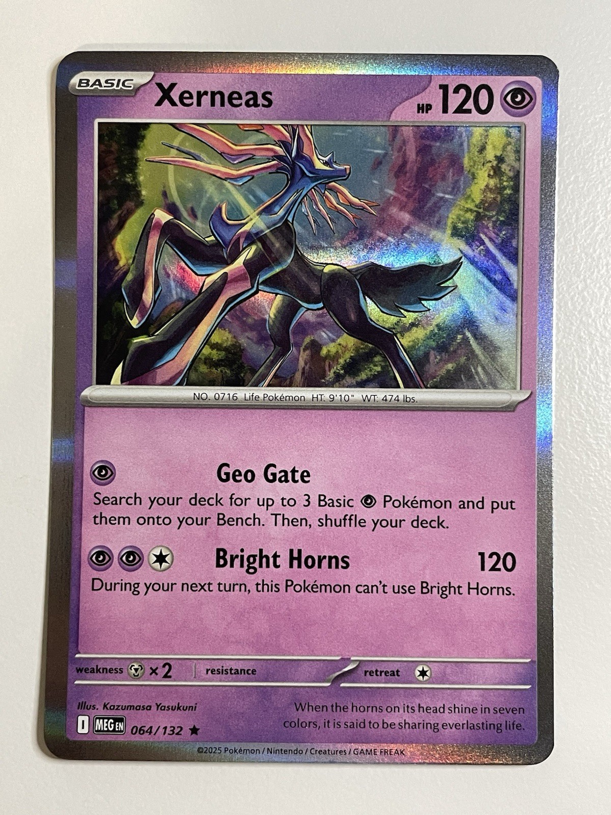 Pokemon TCG Mega Evolution: Xerneas (Holo Rare) 64/132 (NM)
