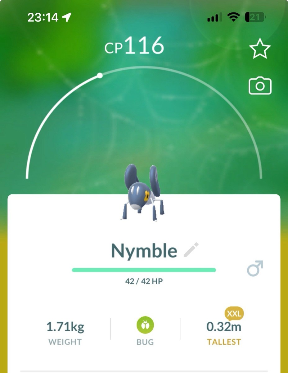 Nymble XXL SIZE Pokestop Showcase Pokemon Gen9 Go Pokémon Lokix