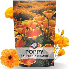 California Poppy Orange - Bulk 1/4 Pound Pouch - 4 oz (80,000 Seeds)  115.52 per gallon