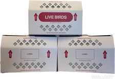 Economical Live Bird Shipping Box 18"x8"x12" - Set of 3 for Poultry Birds