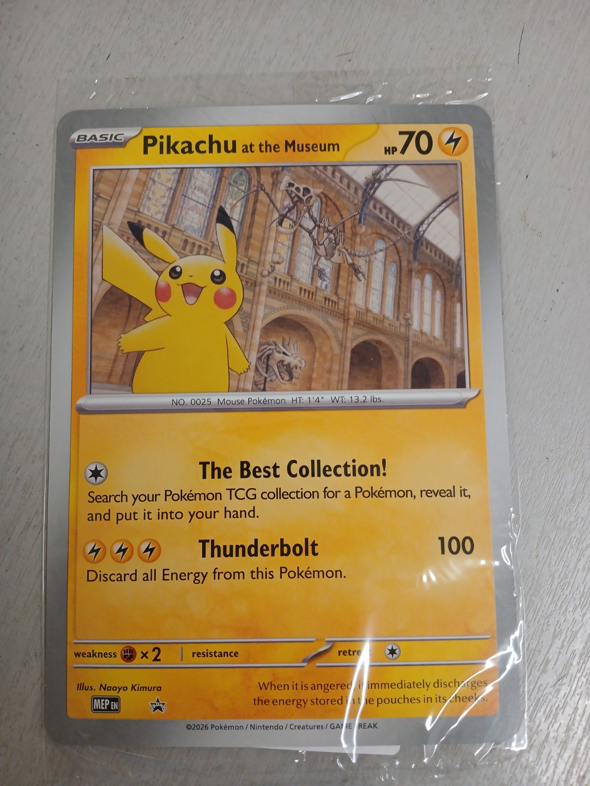 30x Pikachu At The Museum Pokémon Natural History Museum Jumbo Promo Card NEW 