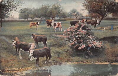 1908 Tuck Postcard-Herd of Cows & Quote by Wordsworth-Pleasant Pastures-Ser.4447
