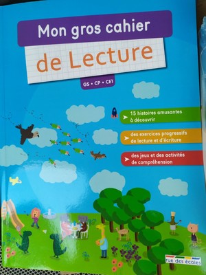 Mon gros cahier de lecture - GS-CP-CE1- Rue des écoles | eBay