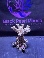 Ceramic Reef Rock Frag Stump (180226) (L26cm/H27cm/D22cm)