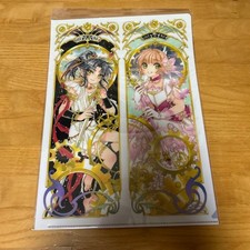 Clamp Exhibition Original Illustration Asura Sakura Single Clear File