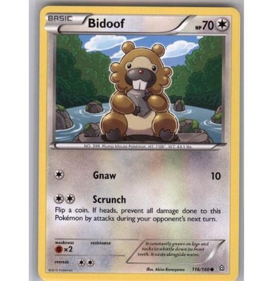 Bidoof 116/160 Common Primal Clash Pokemon Near Mint