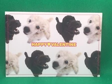 Poodle THE DOG 2 Posr Card Happy Valentine  Artlist collection Japan very rare