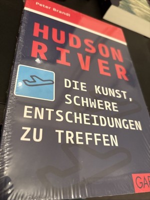 Hudson River von Peter Brandl Taschenbuch