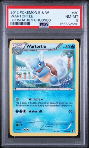 Wartortle graded PSA 8 for sale on eBay