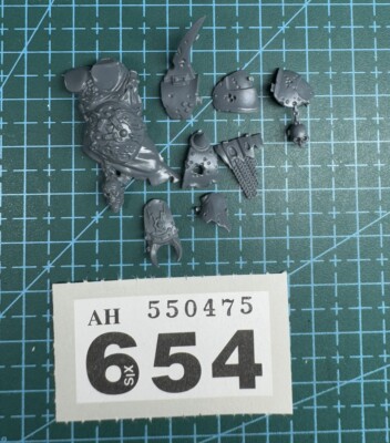 Nurgle Putrid Blight King Schulterpolster Rüstungspaket 40K Bits AoS Death Guard