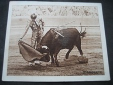 BULL PROGRAM PHOTO HANDLE. ZARAGOZA 1950. L. MIGUEL DOMINGUIN, J. APARICIO. 6