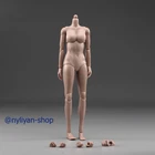 1/6 Female Middle Chest Suntan Skin 12''Flexible Body Action Figure Model Toy