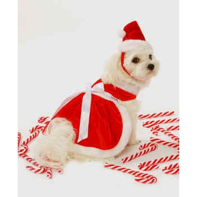 mrs claus dog outfit