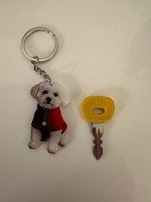 Mobility Scooter Shoprider Cordoba Key and Key Ring