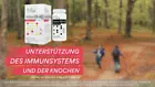 Video 1 von 1