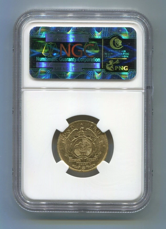 1894 Sudáfrica Zuid Afrika Kruger POND NGC XF 45 - Gran moneda - Baja... - Imagen 2 de 2