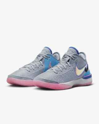 Nike Zoom Lebron NXXT Gen Men's Shoes Wolf Grey/Pink Spell Multi-Sz DR8784 002
