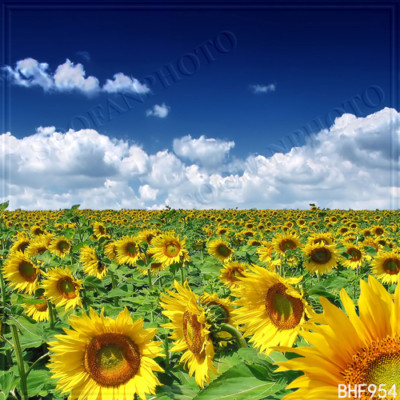 Spring 10'x10' Computer/Digital Vinyl Scenic Photo Background