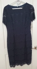 Preston & York Dress Size 8, Navy Blue Lace Sheath Sheer Short Sleeve,NEW