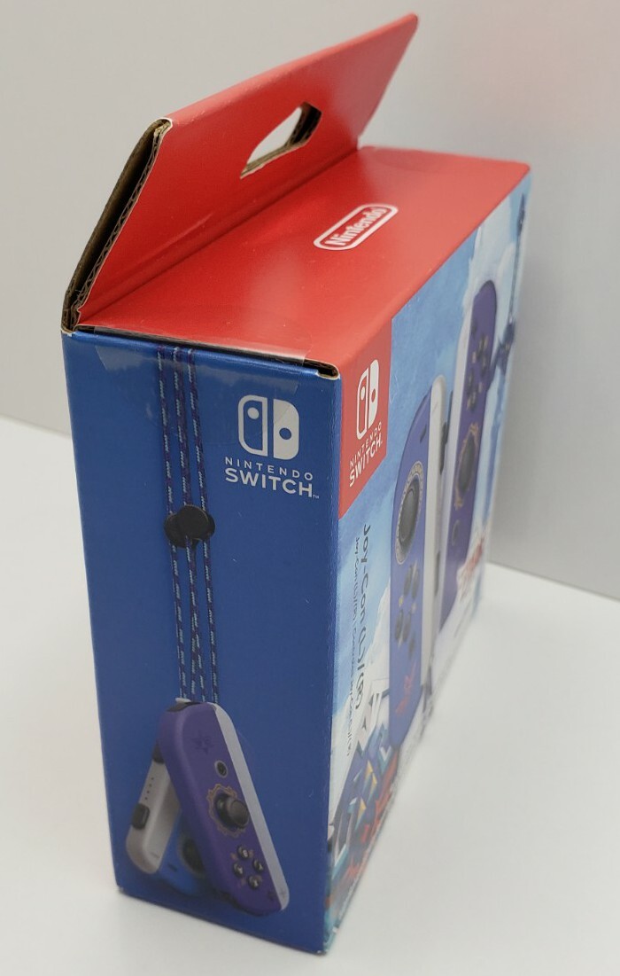 Nintendo switch The Legend of Zelda: Skyward Sword Joy-Cons