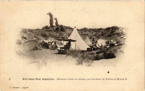 CPA AK ALGERIA Geiser 29 BISKRA - Café Maure (764175