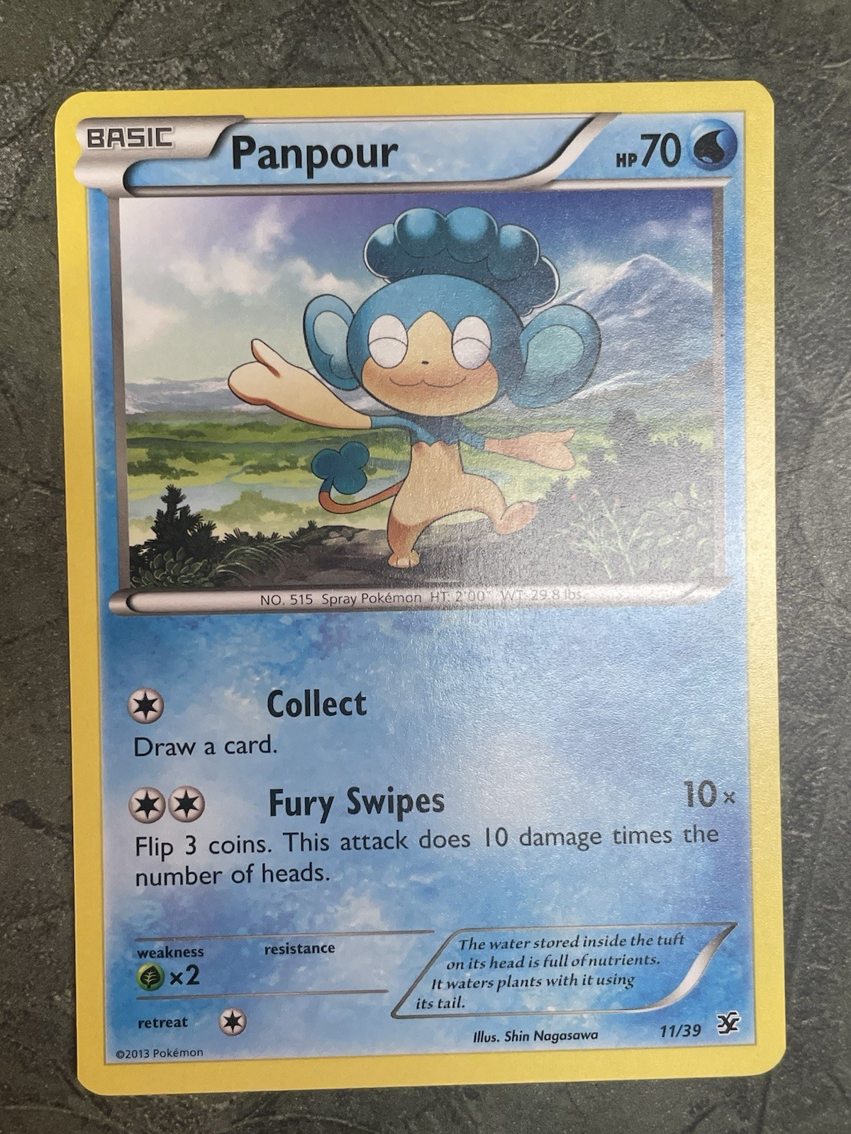 Pokemon Panpour 11/39 Kalos Starter Set NM