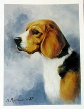 Beagle Pet Dog Portrait Note Cards - Set of 6 Blank Notecards