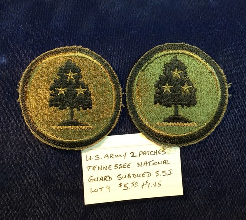 US ARMY, TENNESSEE NATIONAL GUARD PATCHES X 2 PC, SUBDUED, SSI, LOT 9 - Bild 1 von 2
