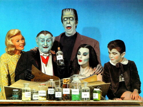 381451 The Munsters 1964 Cast Fred Gwynne Herman Munster WALL PRINT POSTER DE - 第 1/7 張圖片
