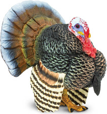 Safari Ltd. Domestic Turkey Figurine - Lifelike 3" Model Figure - Educational To