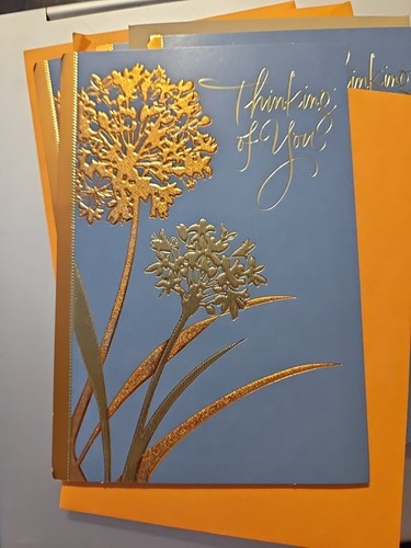 New Hallmark Greeting Card Thinking Of You