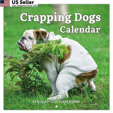 2026 Wall Calendar   12 Monthly Pooping Dogs 12" x 12", navy blue