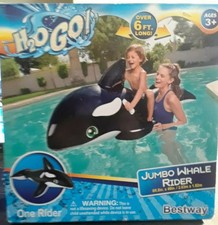 motorcycle pool float