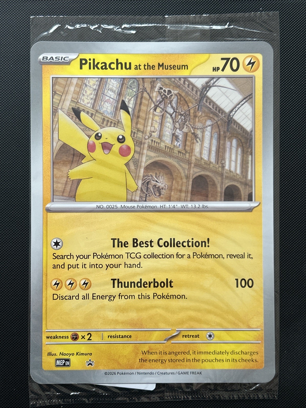 Pokémon TCG Pikachu At The Museum Oversized Promo Card