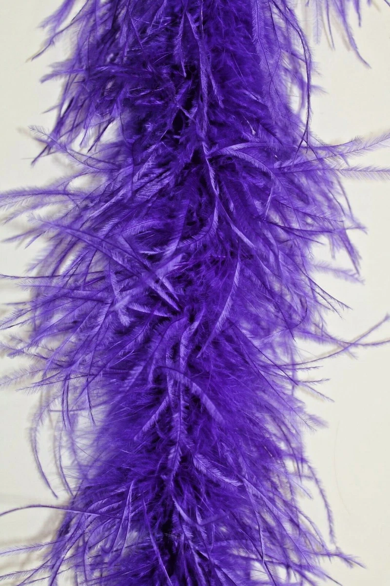 Purple ostrich best sale feathers for sale