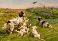 Russian hunting dog Oil Painting Giclee Art Printed on canvas L3693