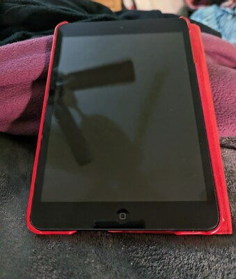 Apple iPad mini 1st Gen. 64GB, Wi-Fi, 7.9in - Black & Slate (CA) Looks New!