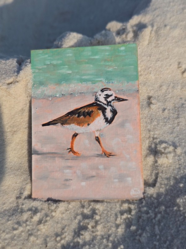 Original ACEO Oil Painting - Coastal Sandpiper Bird on the Beach, OOAK 2.5 x 3.5