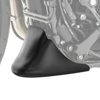 Bugspoiler FüR Harley Davidson Sportster 1200 Nightster 08-12