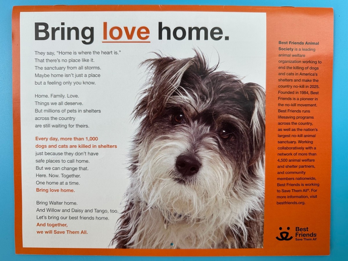 Animal Rescue Tangi Animal Shelter Best Friends Animal Rescue 2025 - Main Image