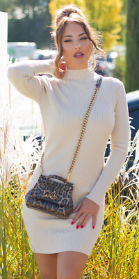 Basic Turtle Neck Rippstrick Minikleid