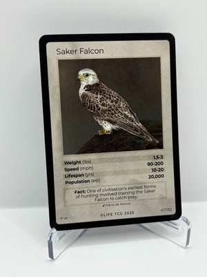 2025 Life TCG Birds 1st Edition - Saker Falcon #47 / 130 Holo 1st H Pop 20000