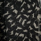 Women’s Cat Print Fashion Scarf New in Package — photo 1